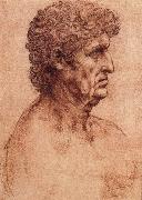 LEONARDO da Vinci, Profile of an old man